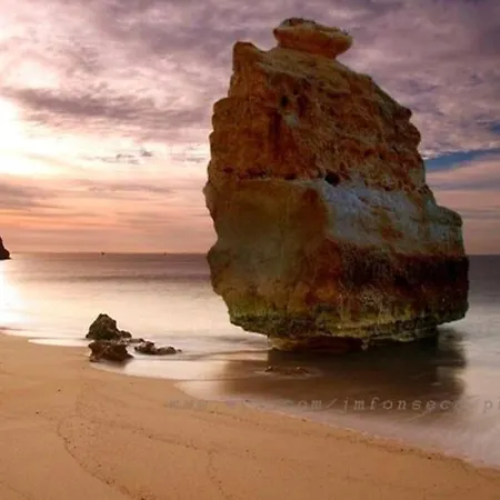 アパート Casa Ocean Coral