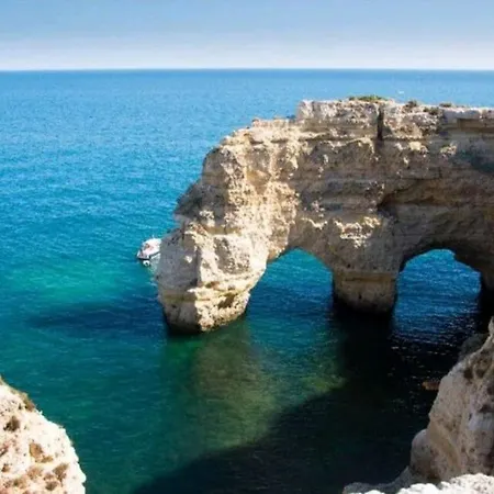 Casa Ocean Coral アパート *